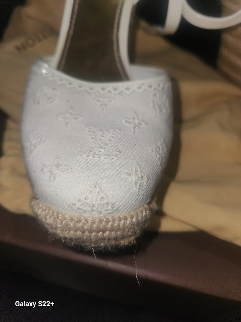 Louis Vuitton elegant louis